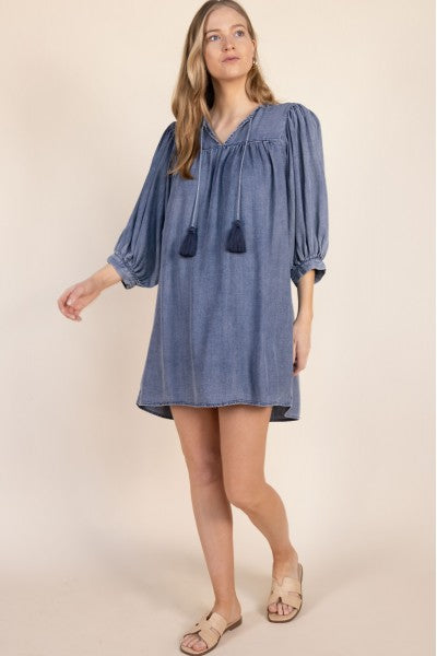 Tencel Billowy Sleeve Dress