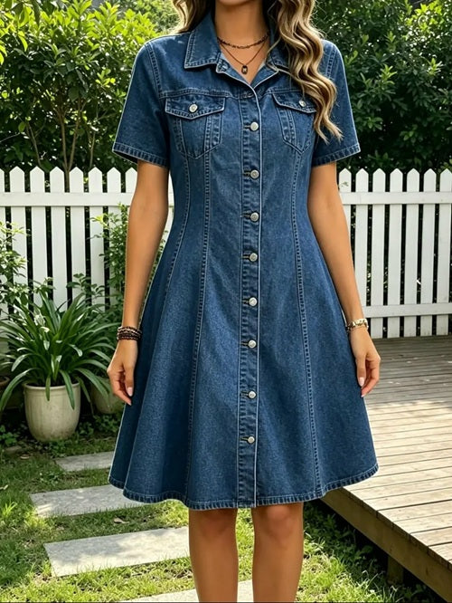 Denim Button-Front Fit & Flare Dress