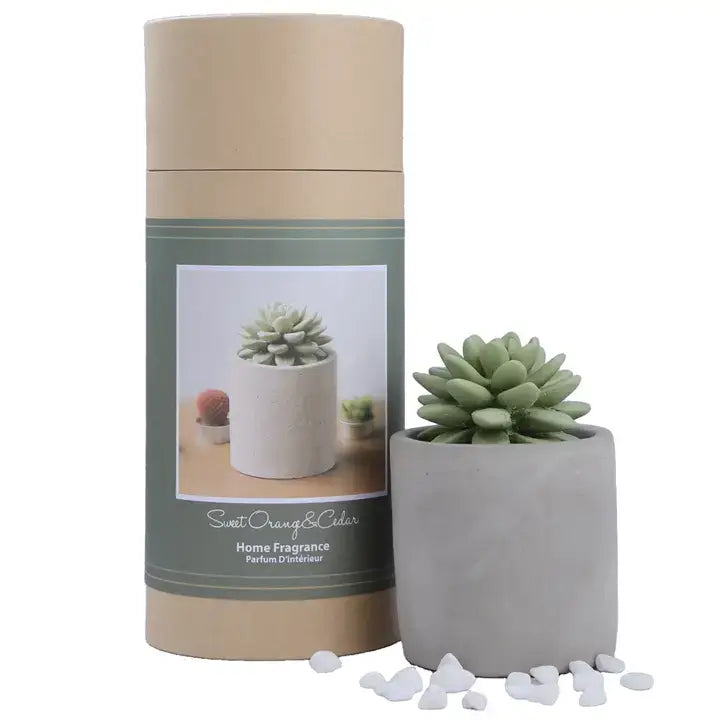 Succulent in Planter Diffuser, Orange Cedar