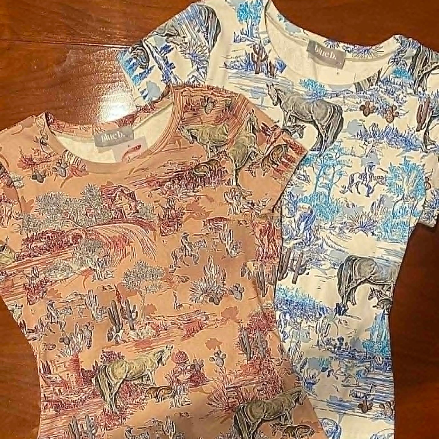 Western Scenic Tee