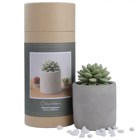 Succulent in Planter Diffuser, Verbena