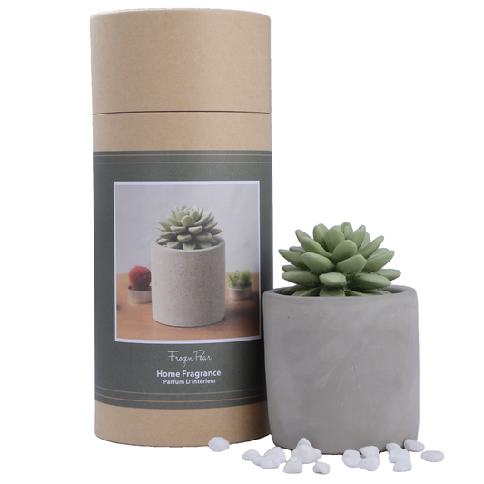 Succulent in Planter Diffuser, Verbena